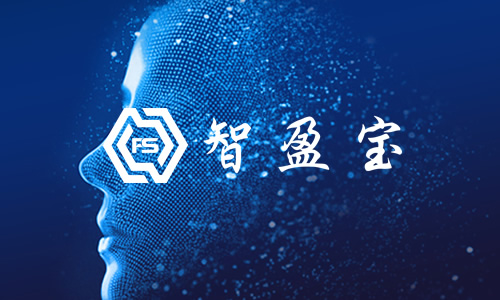 智盈寶網(wǎng)站建設(shè)